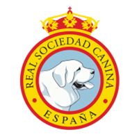 Criador de San Bernardos 2